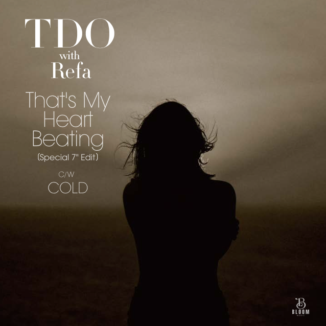 Def Tech レコード 12インチ That's My Heart Beating c/w COLD / TDO