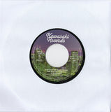 Don't Put My Heart Down / DJ KAWASAKI