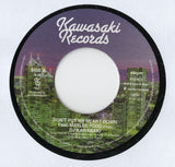 Don't Put My Heart Down / DJ KAWASAKI
