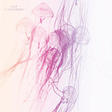 くらげ / Su-Paka-Pooh