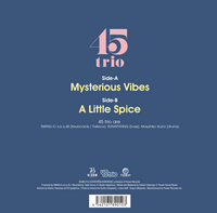 【ご予約受付中】Mysterious Vibes c/w A Little Spice / 45trio / 7インチ