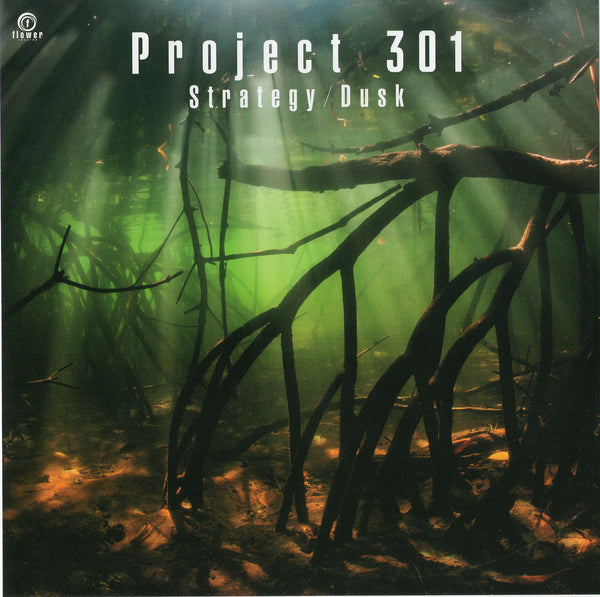 Strategy・Dusk / Project 301